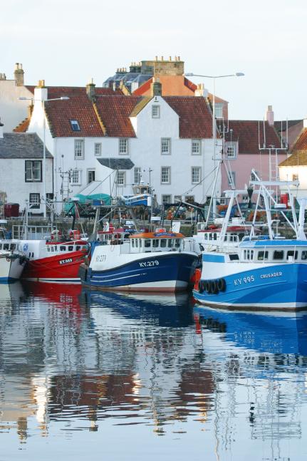 Pittenweem Harbour | Accommodation in Pittenweem