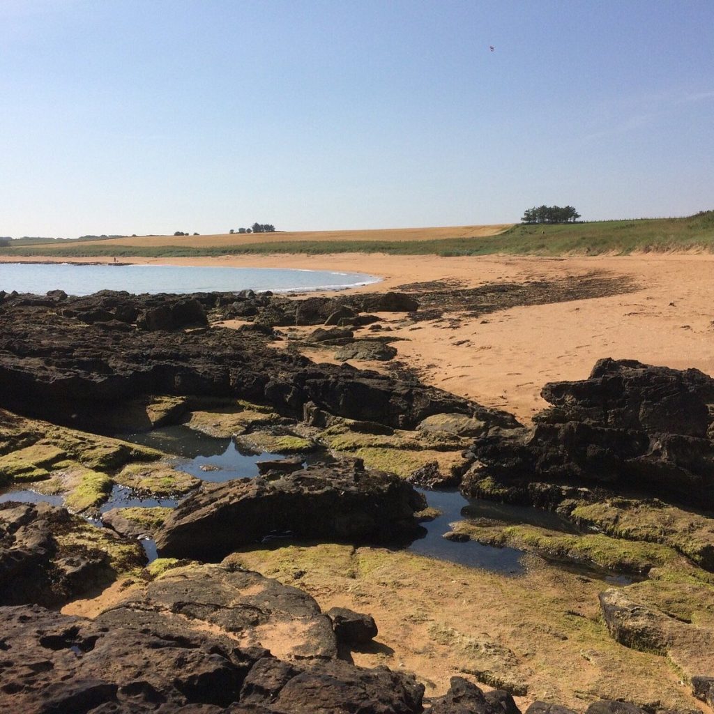 Breathtaking view of the rugged coastline in Kingsbarns, with golden sands, rolling waves, and dramatic cliffs stretching along the horizon. A serene and scenic destination for nature lovers and coastal explorers in Scotland's East Neuk.