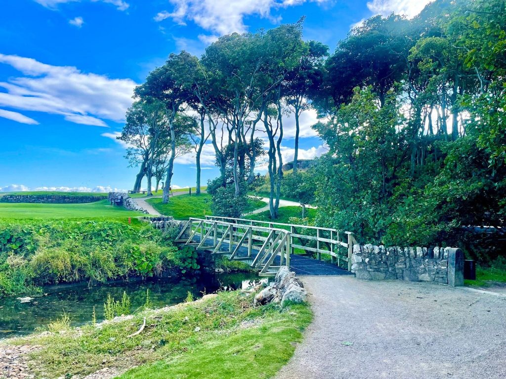 visit kingsbarns golf view