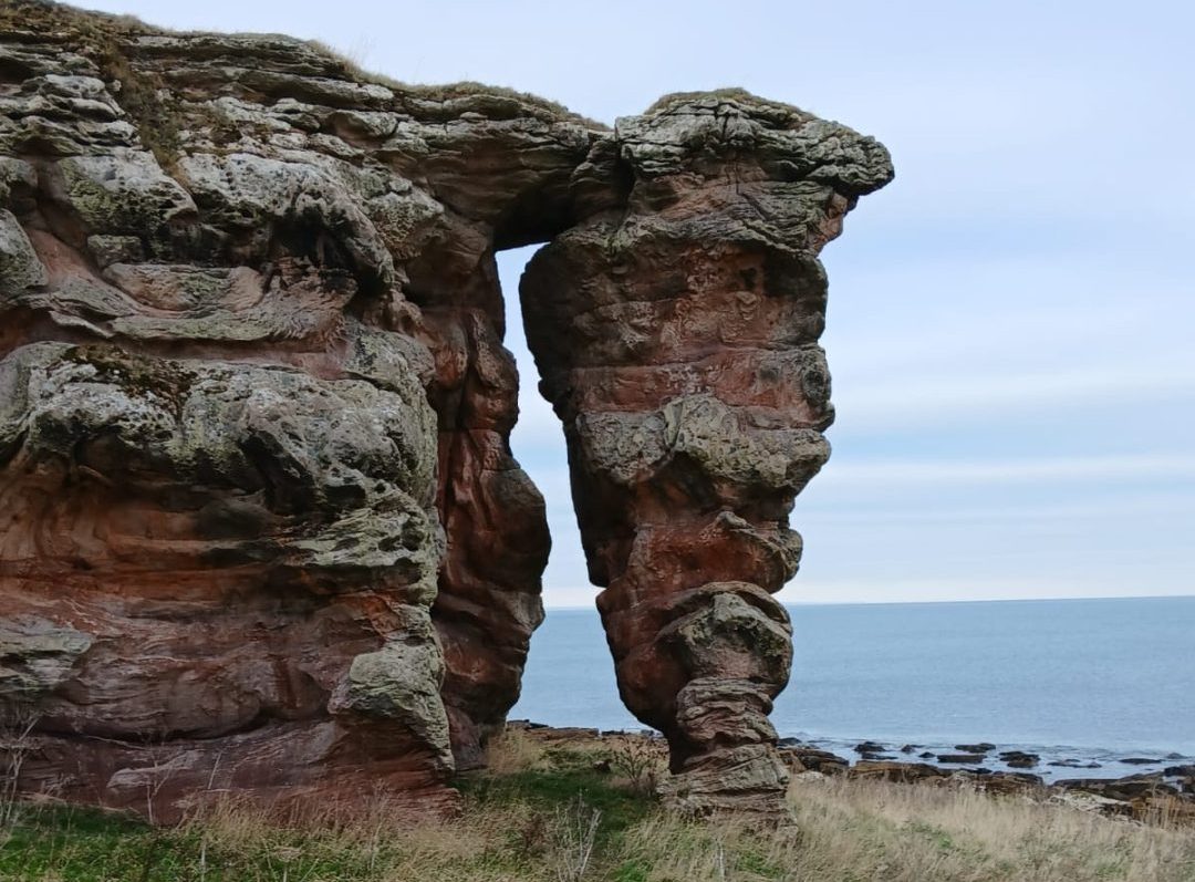 Walks to Do in Anstruther