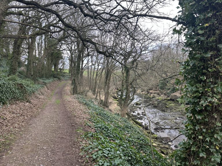 Walk in St Andrews