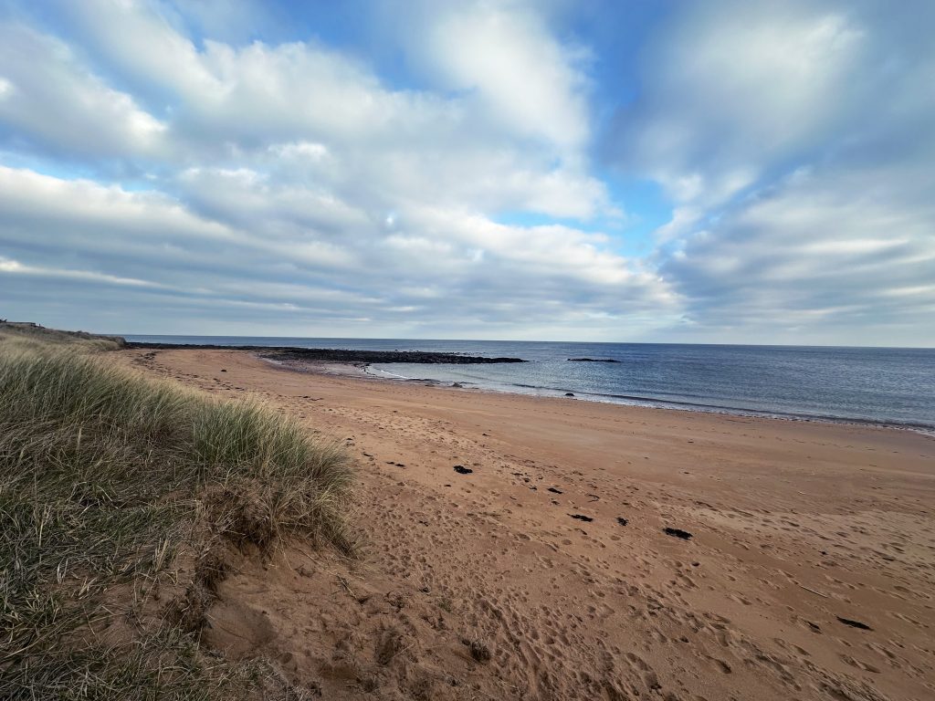 A view kingsbarns beach in the summer
